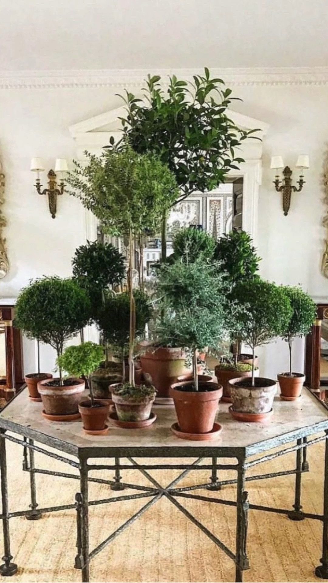 The perfect pots to start your spring gardening. 🧑🏻‍🌾 🪴 

#LTKSpringSale #LTKSeasonal #LTKActive