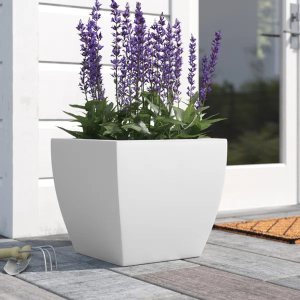 Jacklyn Fiberglass Pot Planter | Wayfair North America