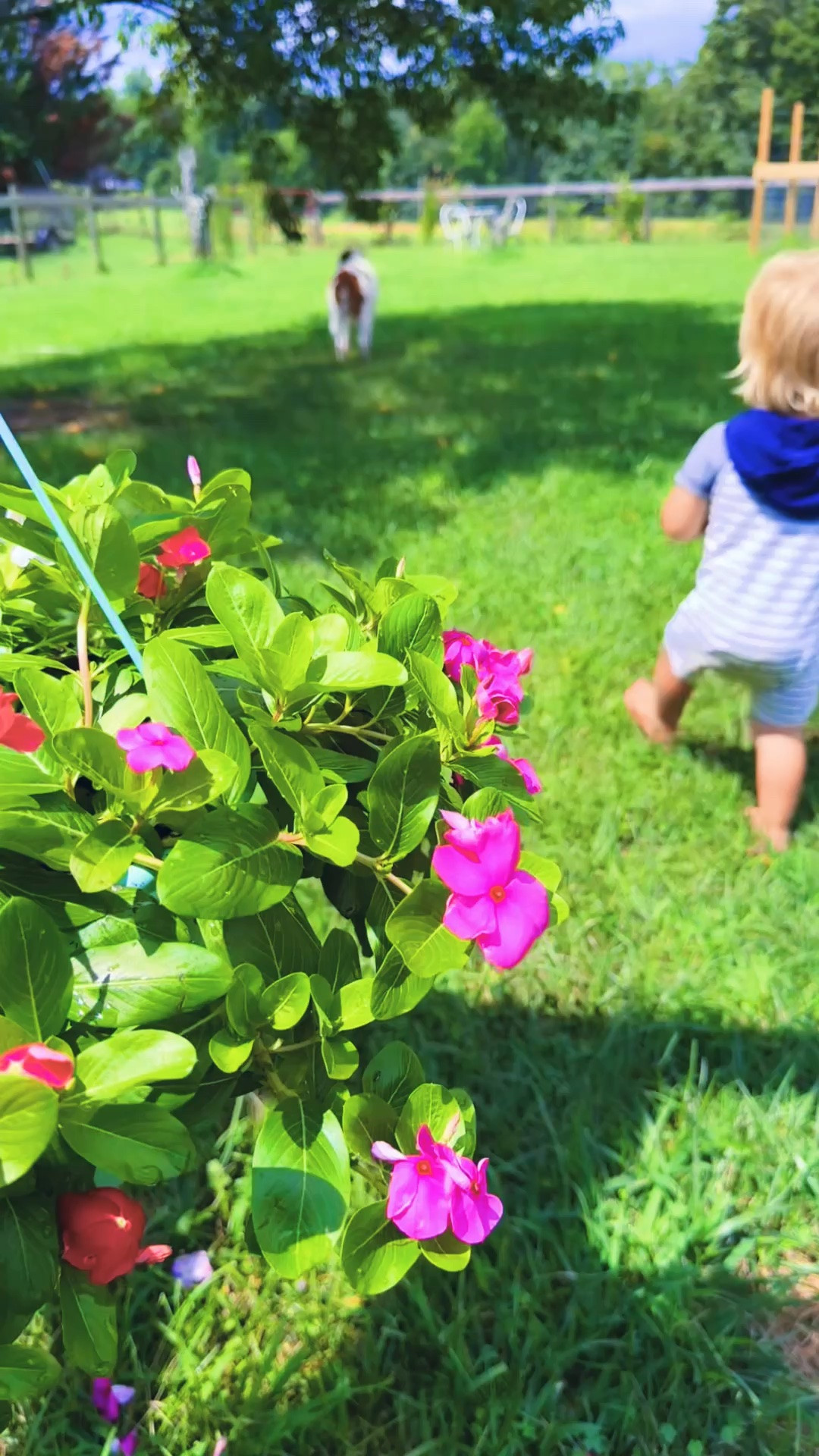 come spend the day out in the garden with my barefoot babies and me 👶🏼🪴👩‍🌾👣🌾