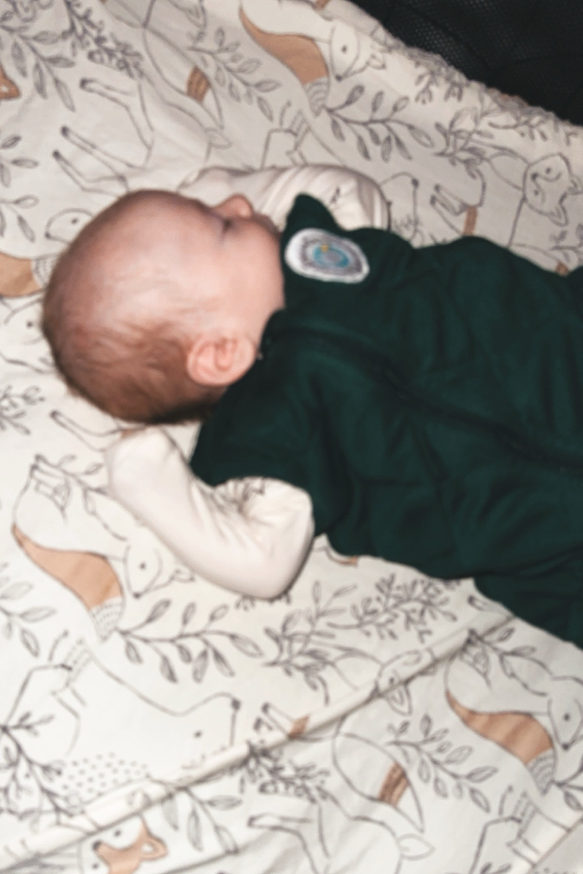 Weighted blanket/ sleep sack/ dreamland/ baby/ swaddle/ comfort/ machine washable/ swaddle transition/ baby shower/ gift ideas

#LTKbump #LTKGiftGuide #LTKbaby