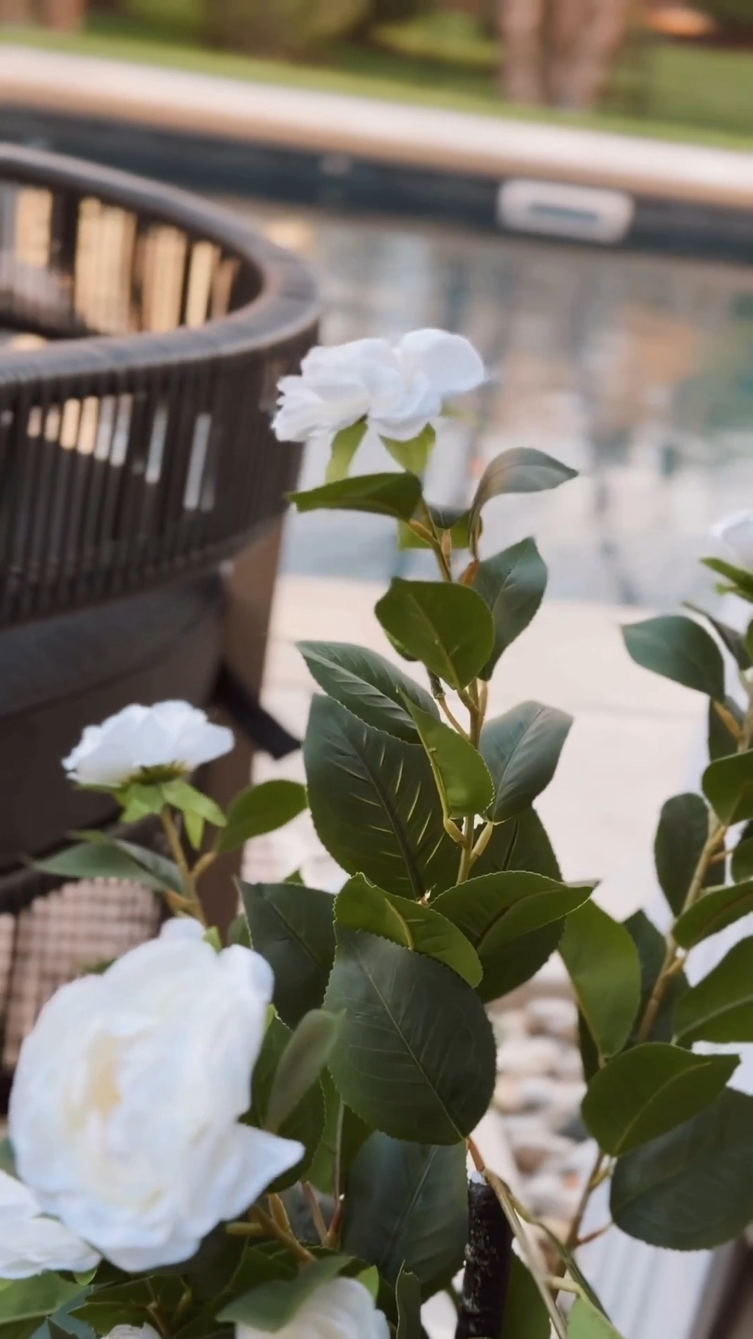 Get these plants!!!! Such a hit all the neighbors are asking too 👀

Patio. Outdoor patio. Florals.

#LTKSeasonal #LTKHome