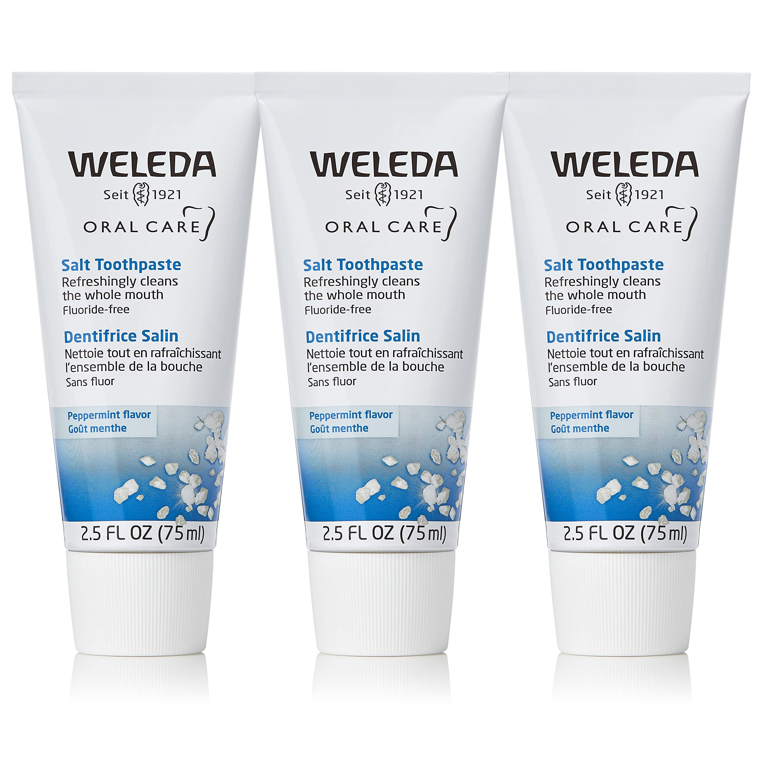 Weleda Natural Salt Toothpaste. 2.5 Fluid Ounce (Pack of 3) | Amazon (US)