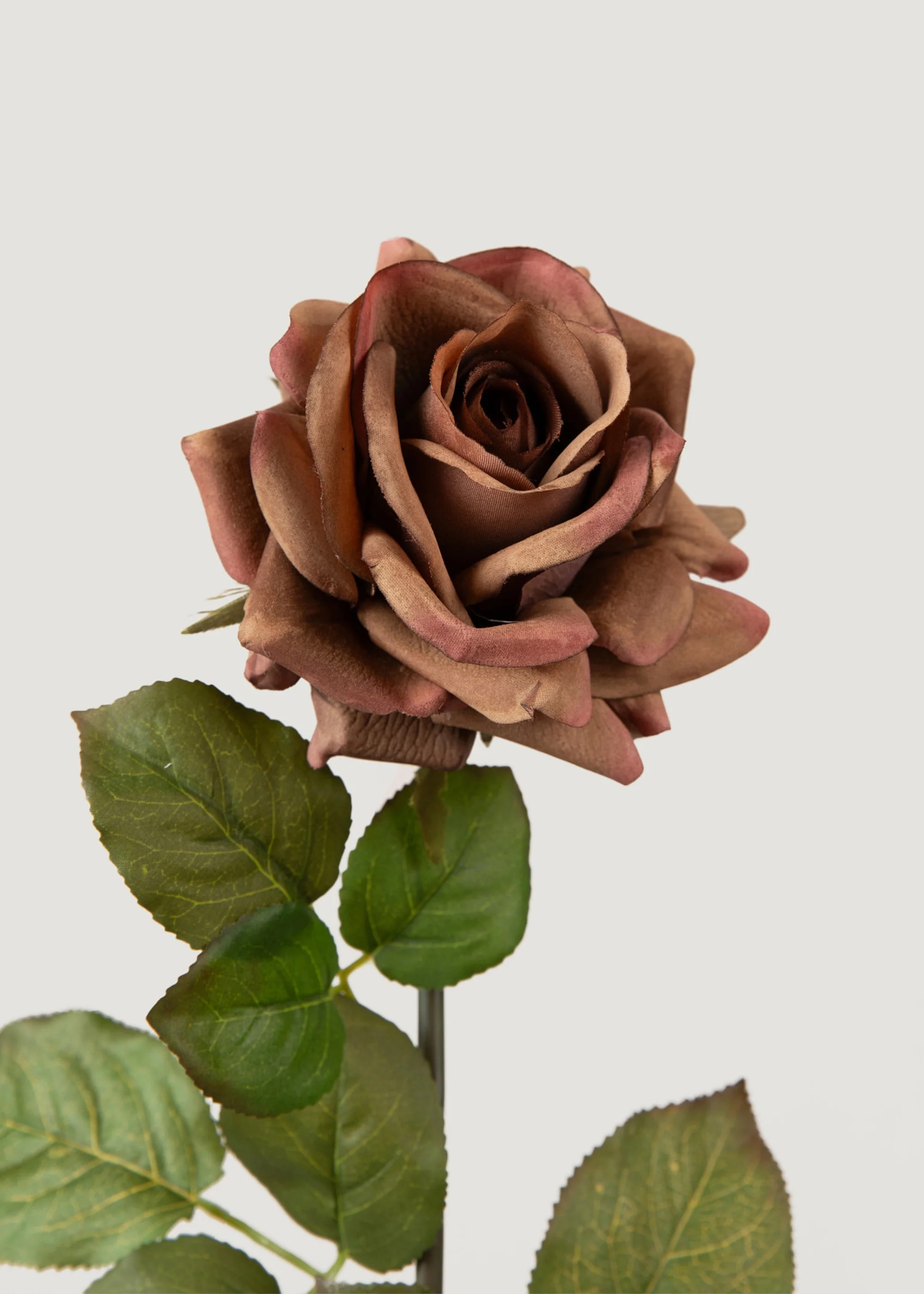 Deluxe Real Touch Rose in Mauve Brown - 29" | Afloral