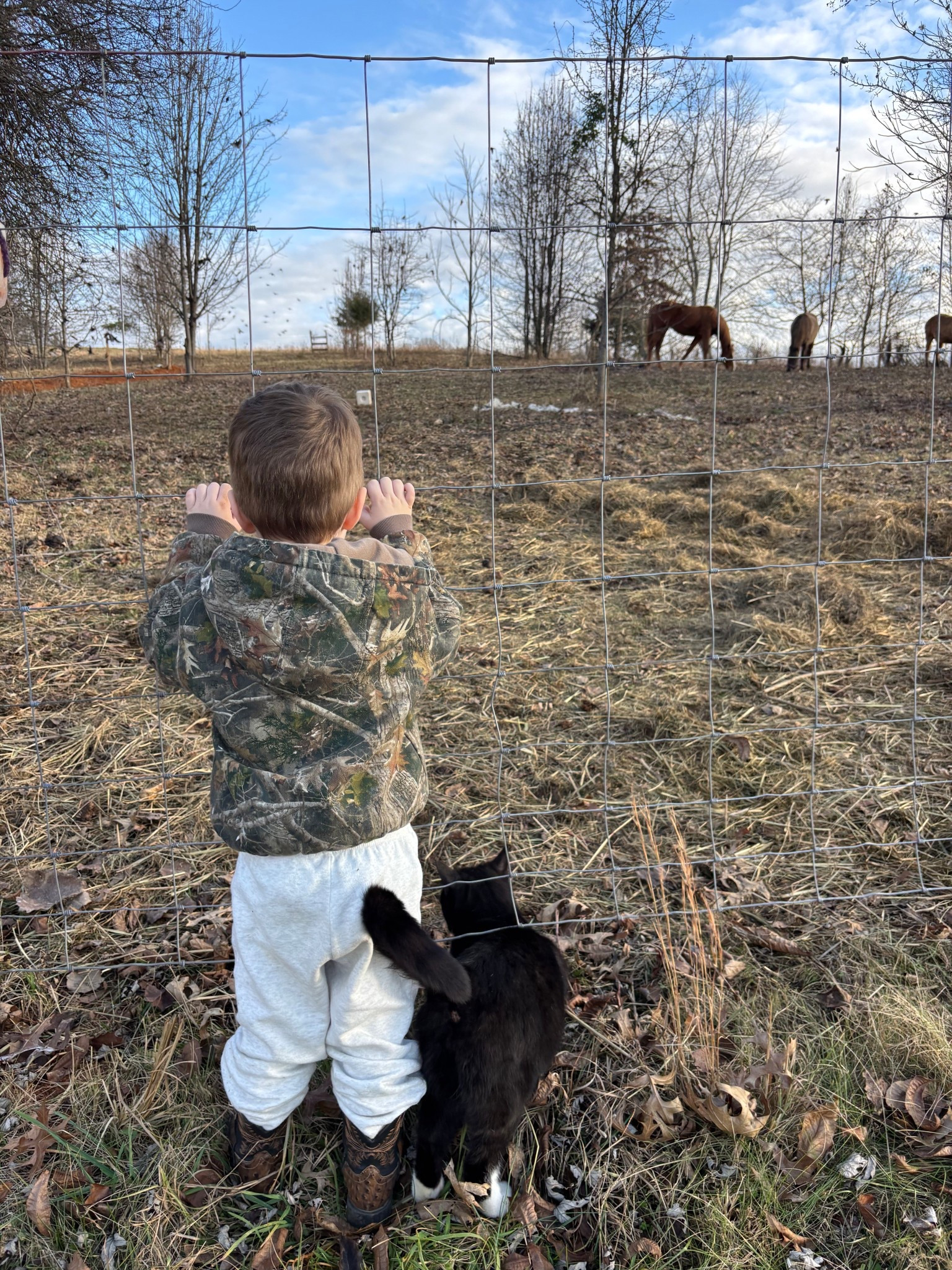My cutie little cowboy and his kitten and horses

#LTKKids #LTKFindsUnder100 #LTKdayinmylife