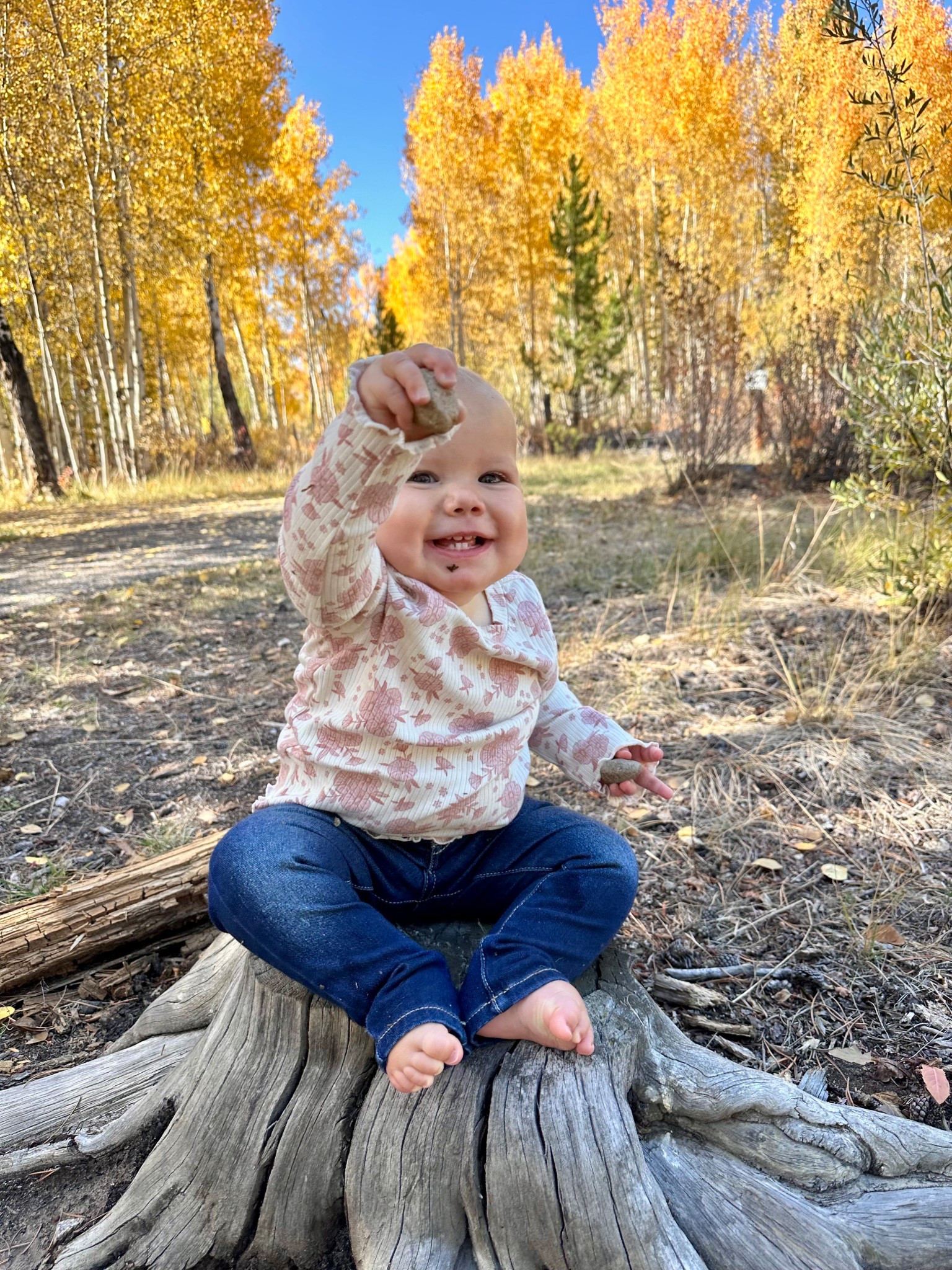 Fall fashion for the littles! This cozy, photo-ready look is perfect for back to school, family photos, and everything in between. We layered a floral ribbed long sleeve tee with a light pink crocheted cardigan and dark wash jeggings. Our 1-year-old isn’t walking yet, but if she were she’d be rocking the cutest western boots. Comfortable, stylish, and totally kid-approved. 🤎✨
#LTKKids #FallFamilyPhotos #BackToSchoolStyle #ToddlerFallFashion #PreschoolStyle #WesternBoots #FallOutfitInspo #CozyKidsStyle #MiniStyle #LTKBacktoSchool #LTKFindsUnder50 #LTKFamily

#LTKKids #LTKSeasonal #LTKBaby
