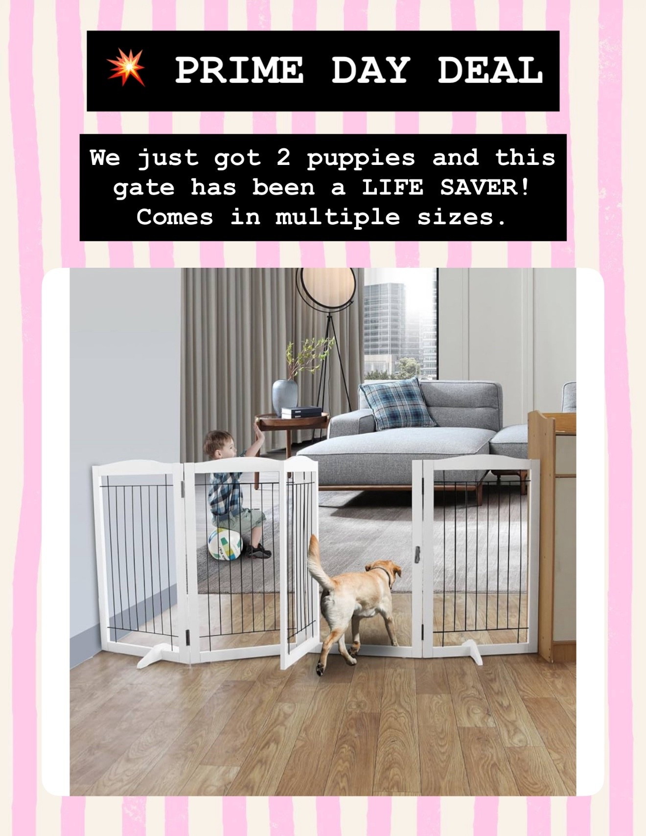 💥 PRIME DAY DEAL

if you have dogs, this is a MUST. Multiple sizes!!

#amazonprimeday #primedeals 

#LTKFindsUnder100 #LTKSaleAlert #LTKBaby