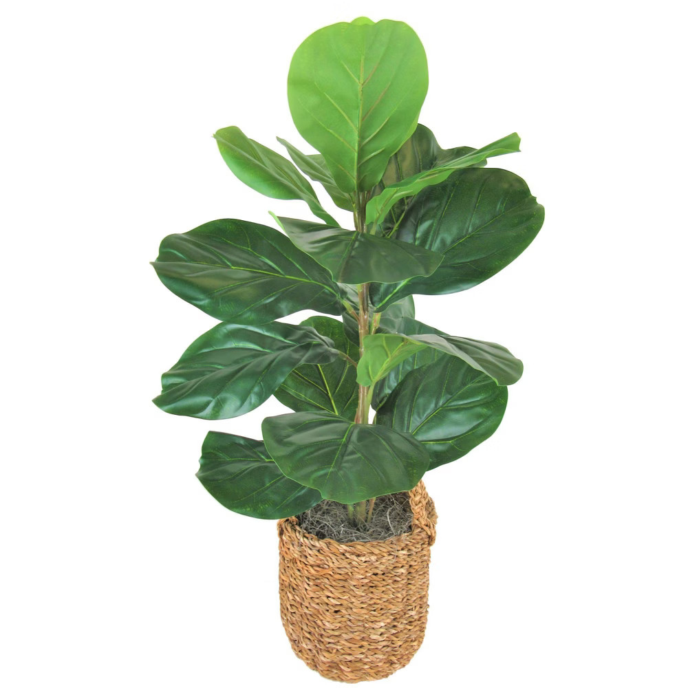 30"" x 16"" Artificial Fig Plant in Basket with Handles Green - LCG Florals | Target