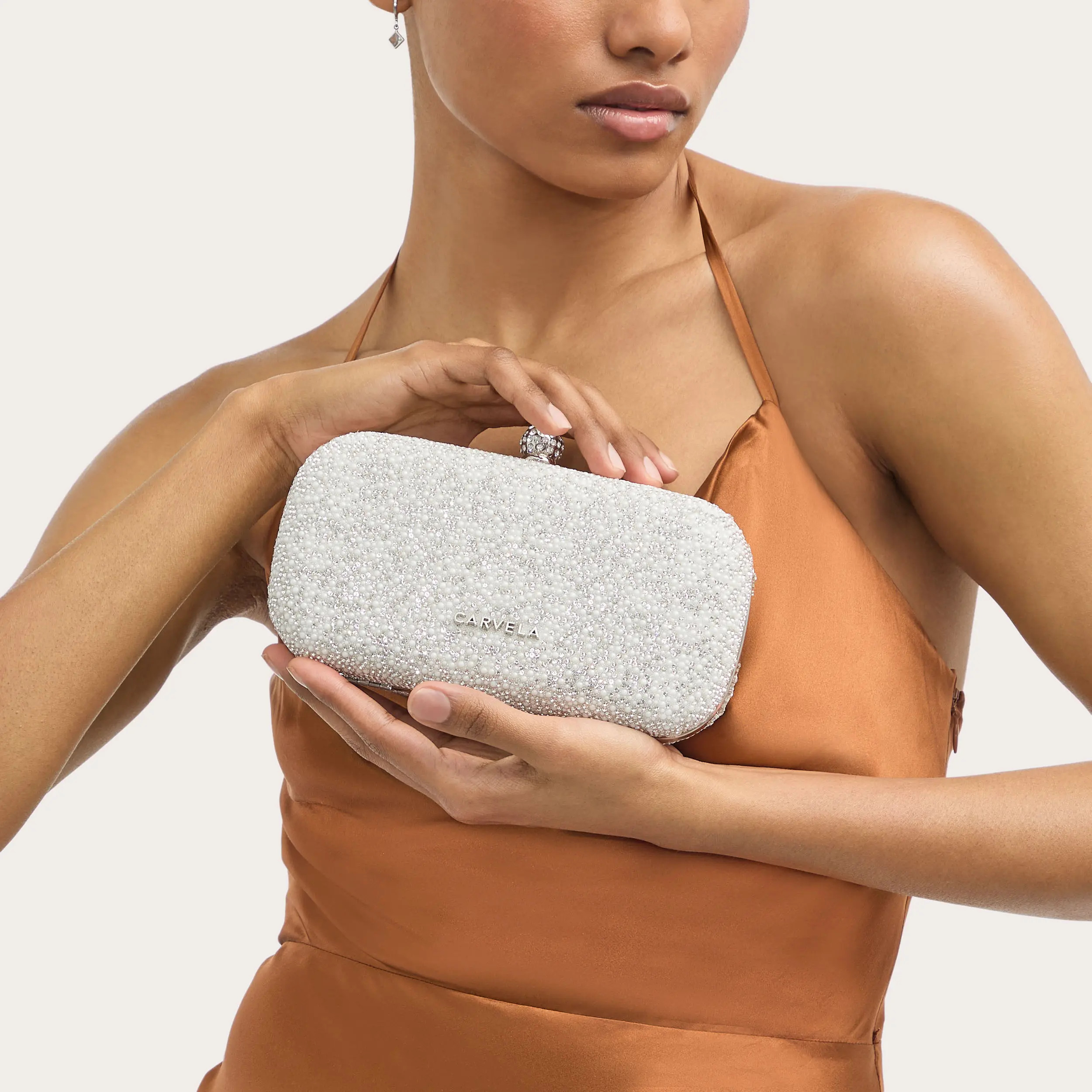 cecilia hard clutch bag | Carvela