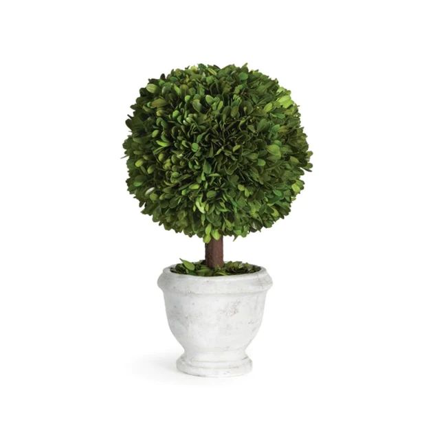 Boxwood Lollipop Topiary | Cailini Coastal