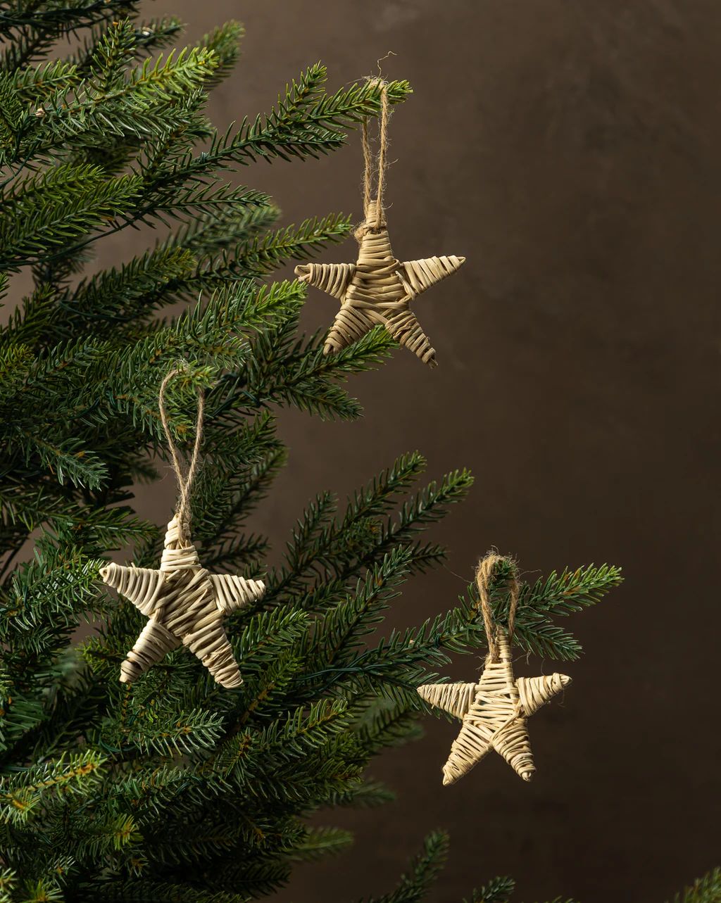 Woven Star Ornament (Set of 40) | McGee & Co.