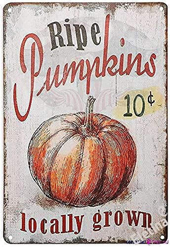 Pumpkin Patch Decor, 10 Cent Ripe Pumpkins Locally Grown Retro Vintage Kitchen Signs Farm Decorat... | Amazon (US)