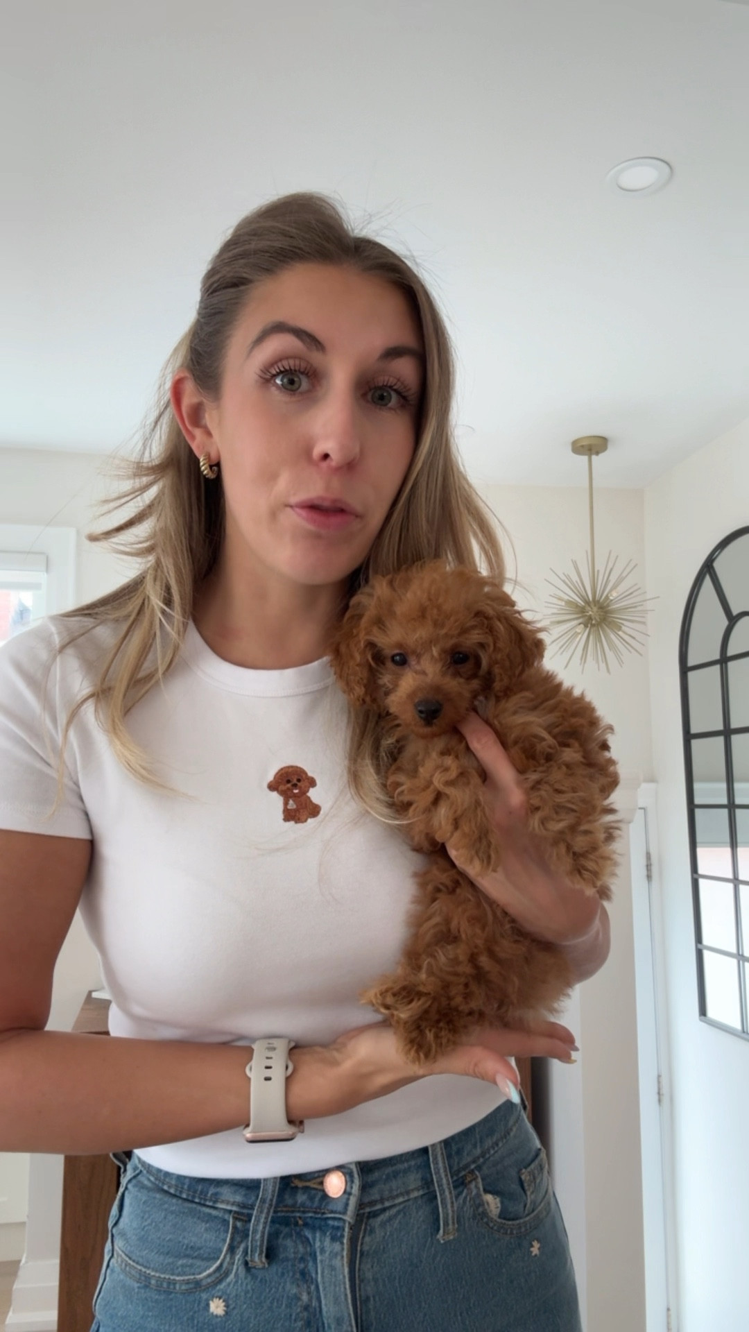 POODLE SHIRT. I am in an XS 

#LTKFindsUnder50 #LTKPetite #LTKPets