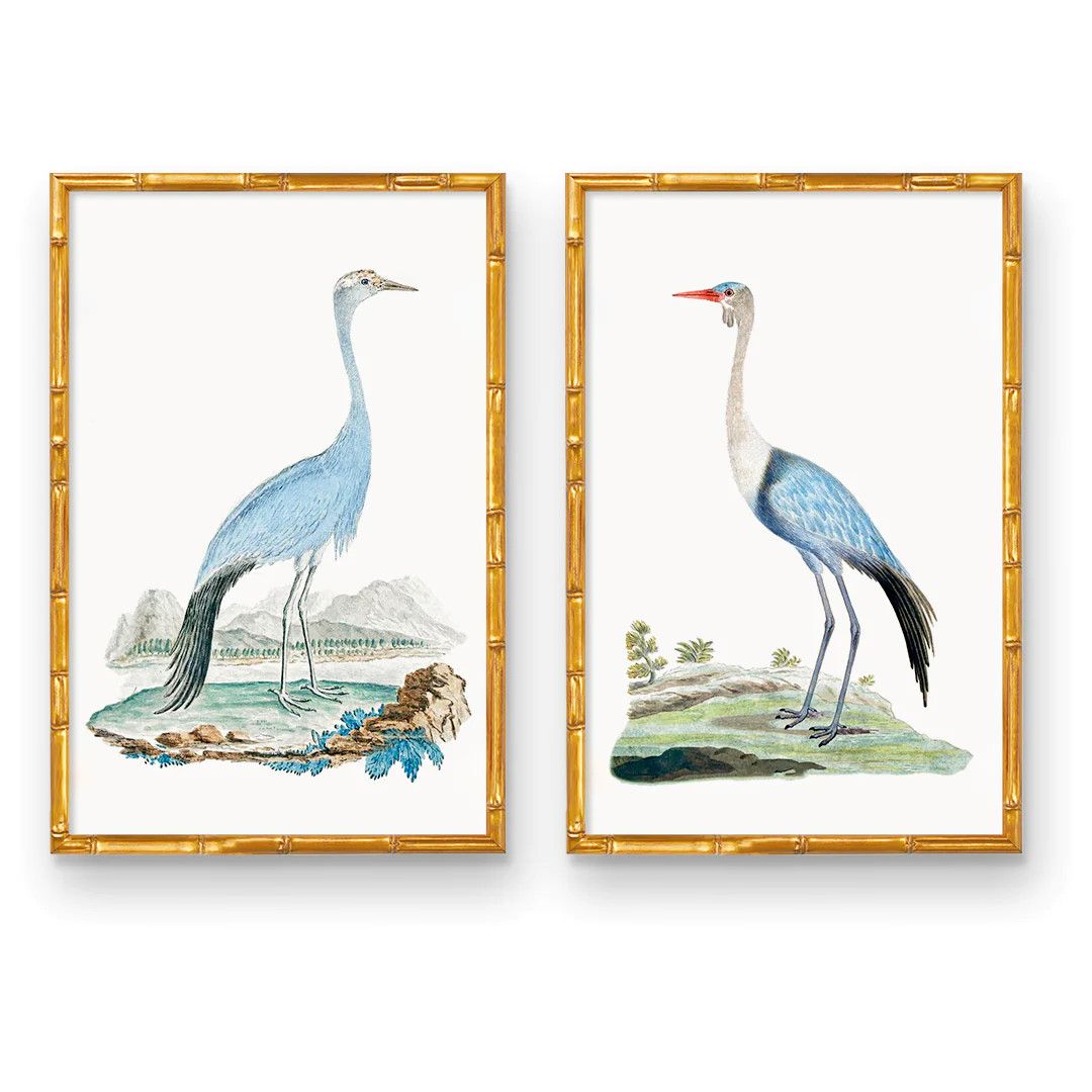 Elegant Beauty Pair | Blue & White Coastal Bird Art | Fine Art Prints | Urban Garden Prints