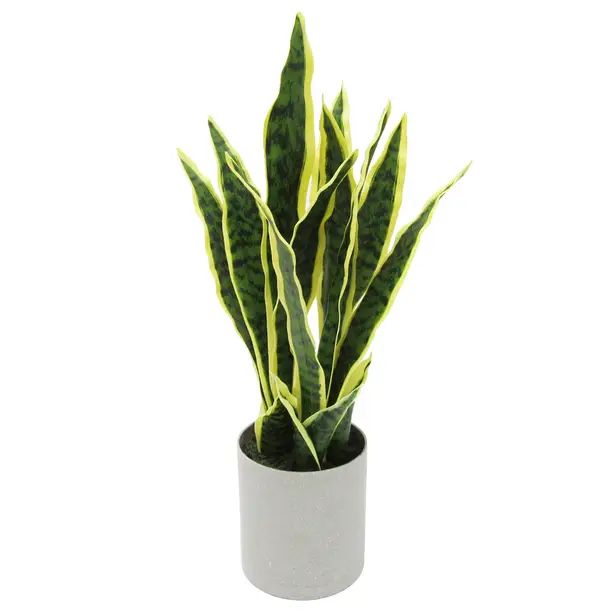 Faux Snake Plant in Pot | Wayfair North America