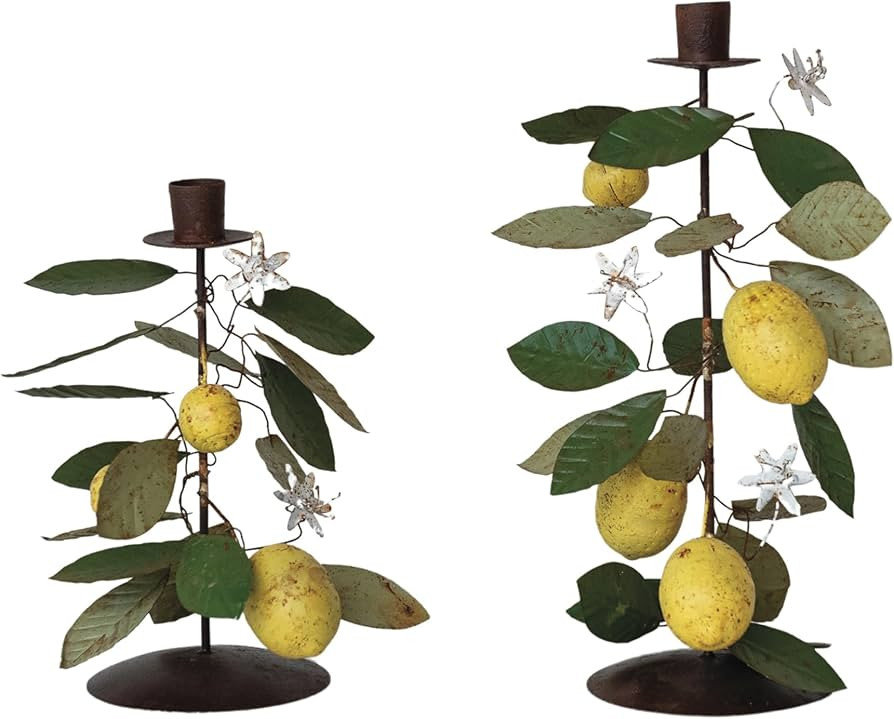 Creative Co-Op Citrus Grove Metal Taper Candle Holders, Multicolor, Set of 2 | Amazon (US)