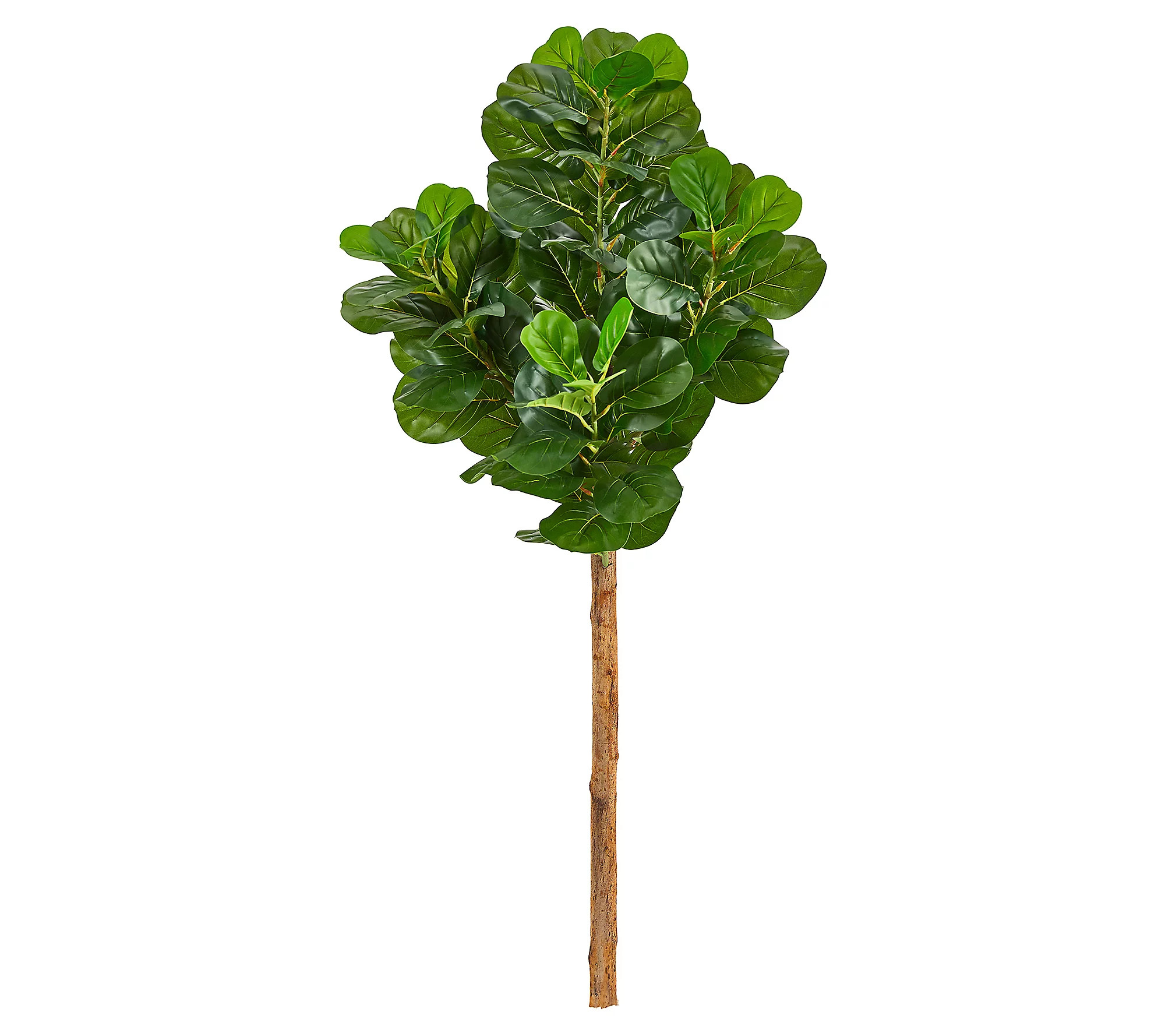 Nearly Natural 5.5-ft Artificial Fiddle Leaf Tr ee (No Pot) | QVC