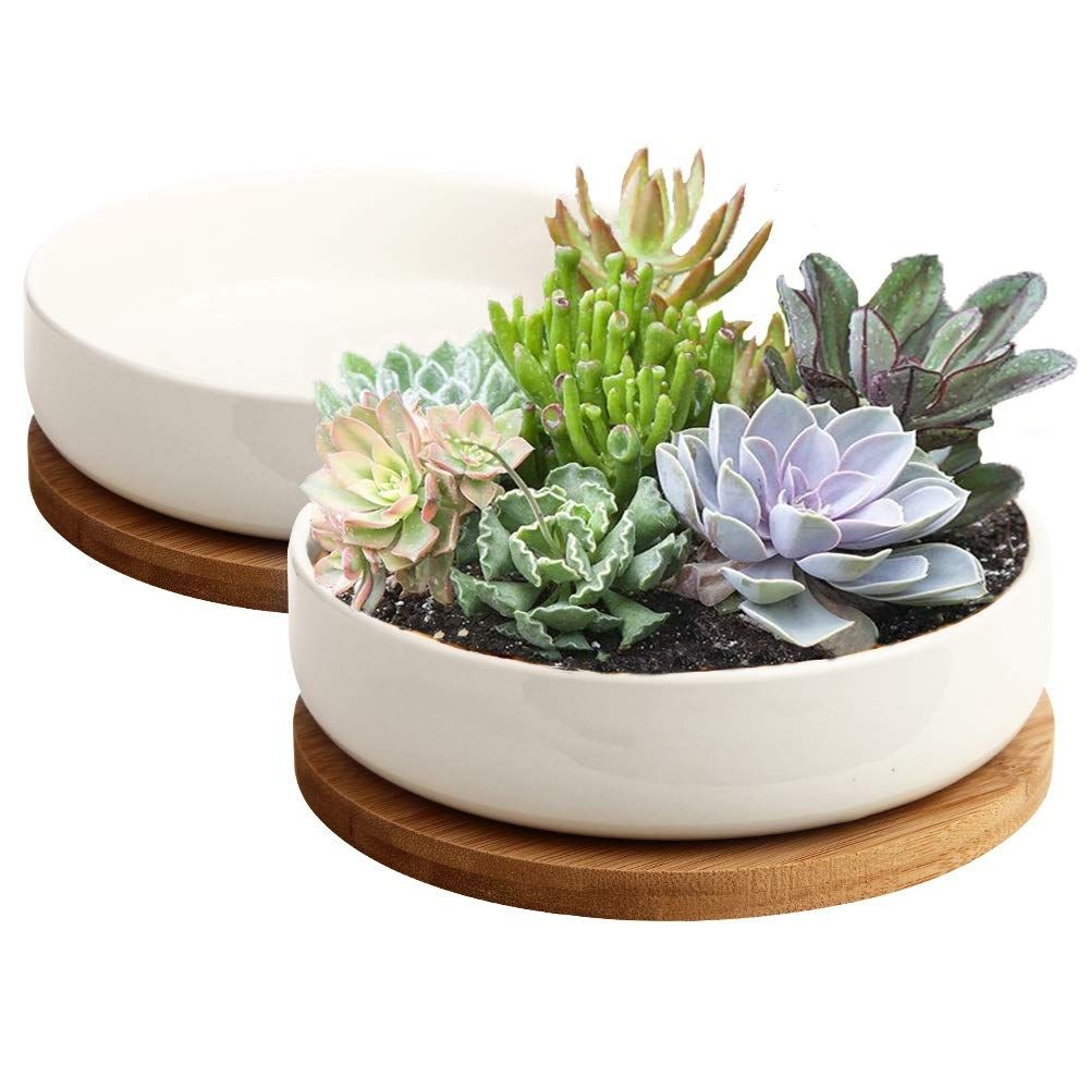 ZOUTOG Succulent Pots, 6 inch White Ceramic Flower Planter Pot with Bamboo Tray, Pack of 2 - Plan... | Amazon (US)