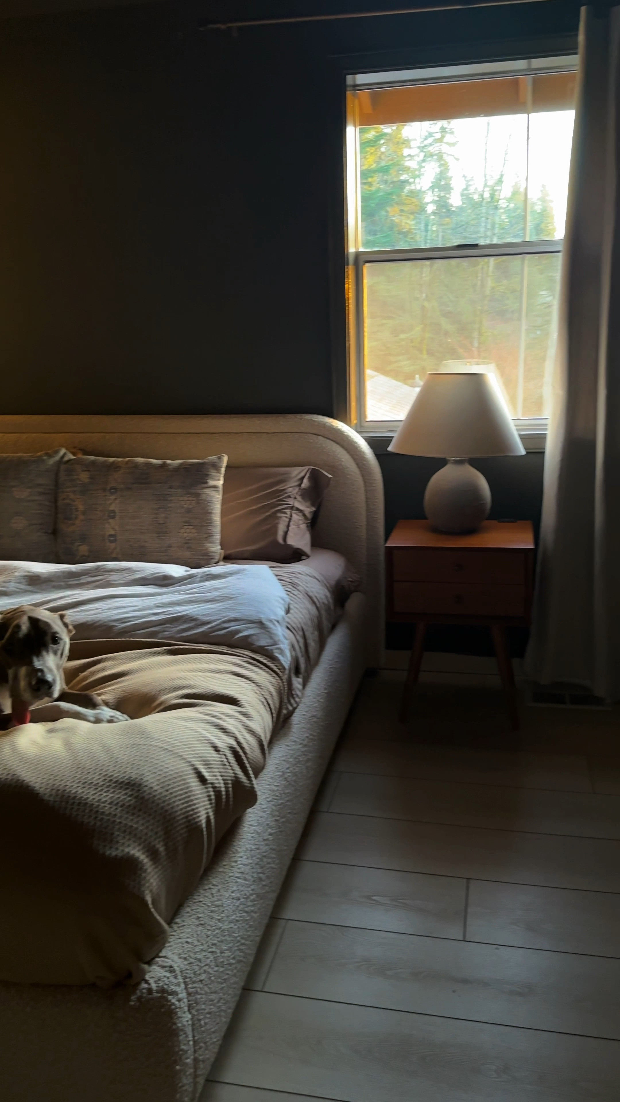 Shop my primary bedroom 

LTKFestiveSaleES #LTKVideo #LTKsalealert