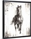 Rustic Black Stallion I Wall Art | Great Big Canvas - Dynamic