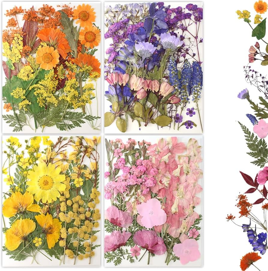 80Pcs Pressed Flowers, Dried Flowers Natural Pressed Flowers Bulk for Resin Molds, Nail Art, Scra... | Amazon (US)