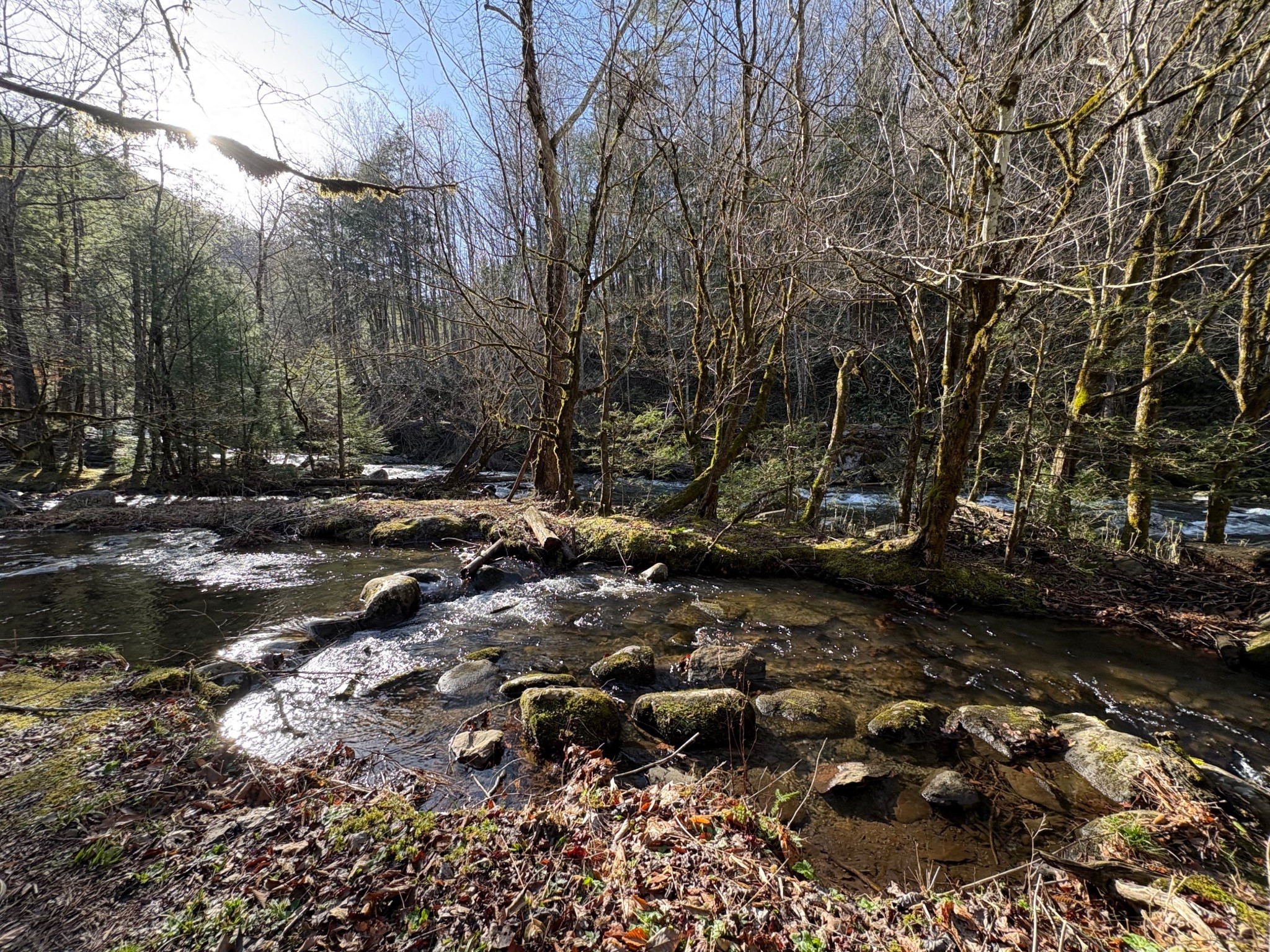 Tremont Lost 

#LTKKids #LTKTravel #LTKmomlife