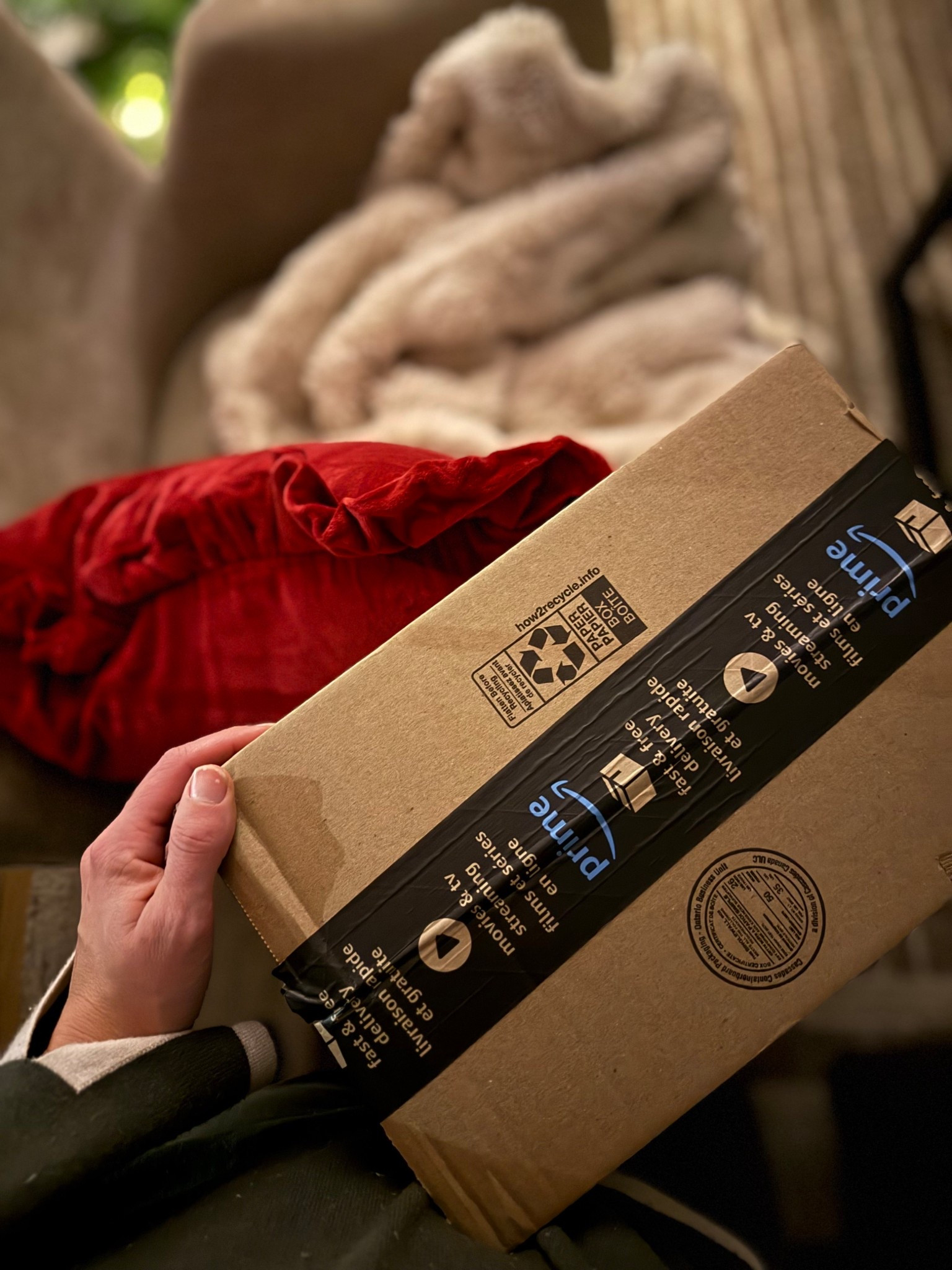 All of the Amazon Canada Christmas Home Decor I’ve purchased! Head to my IG to see the unboxing and first impressions! 

Amazon Canada / Christmas decor 2025, Christmas styling, coffee table styling, shelf styling, Ralph Lauren Christmas, viral Christmas decor 

#LTKHome #LTKHoliday #LTKSaleAlert