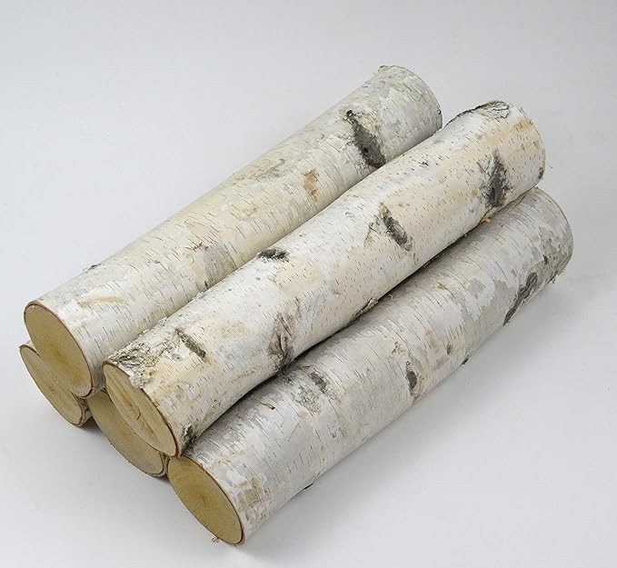 Large Birch Fireplace Log Set (5 Logs: 3''-5'' Dia. x 17-18" Long) | Amazon (US)