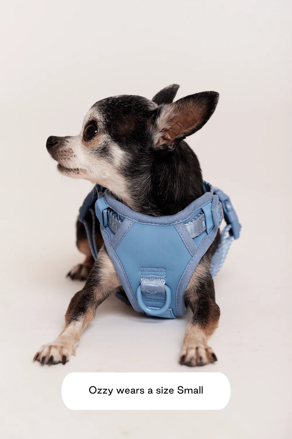 Easy Fit Harness | max-bone