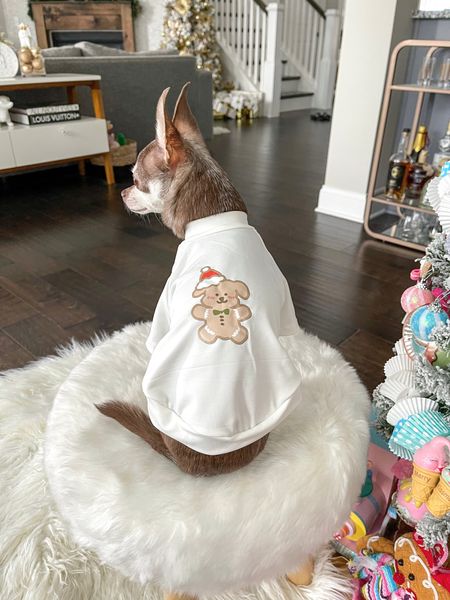 The cutest Christmas shirt!

Dog clothes, dog shirt

#LTKfamily #LTKSeasonal #LTKHoliday