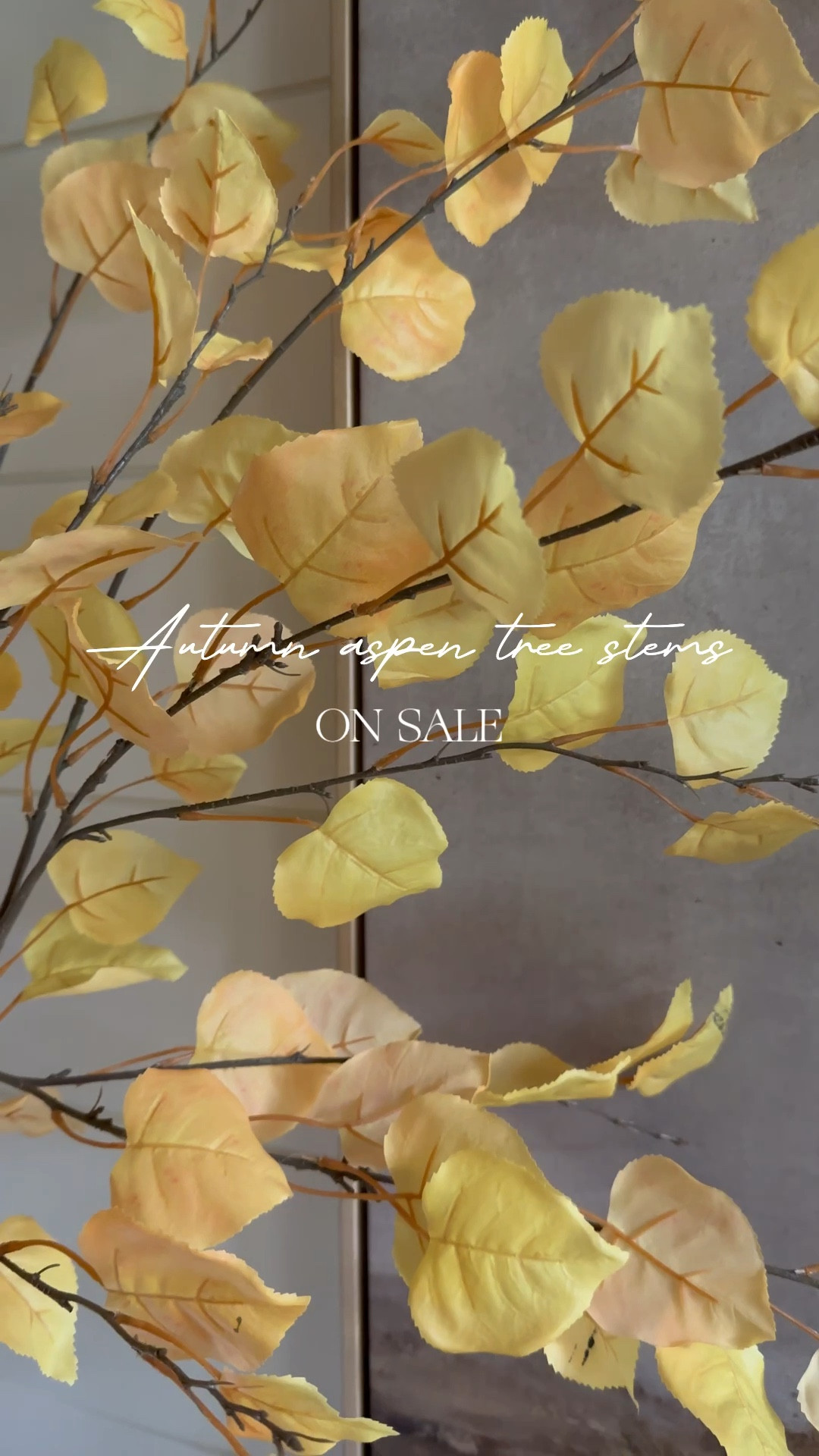 These gorgeous fall stems are on sale!  I used 5 stems in this vase

#LTKSaleAlert #LTKFindsUnder50 #LTKHome