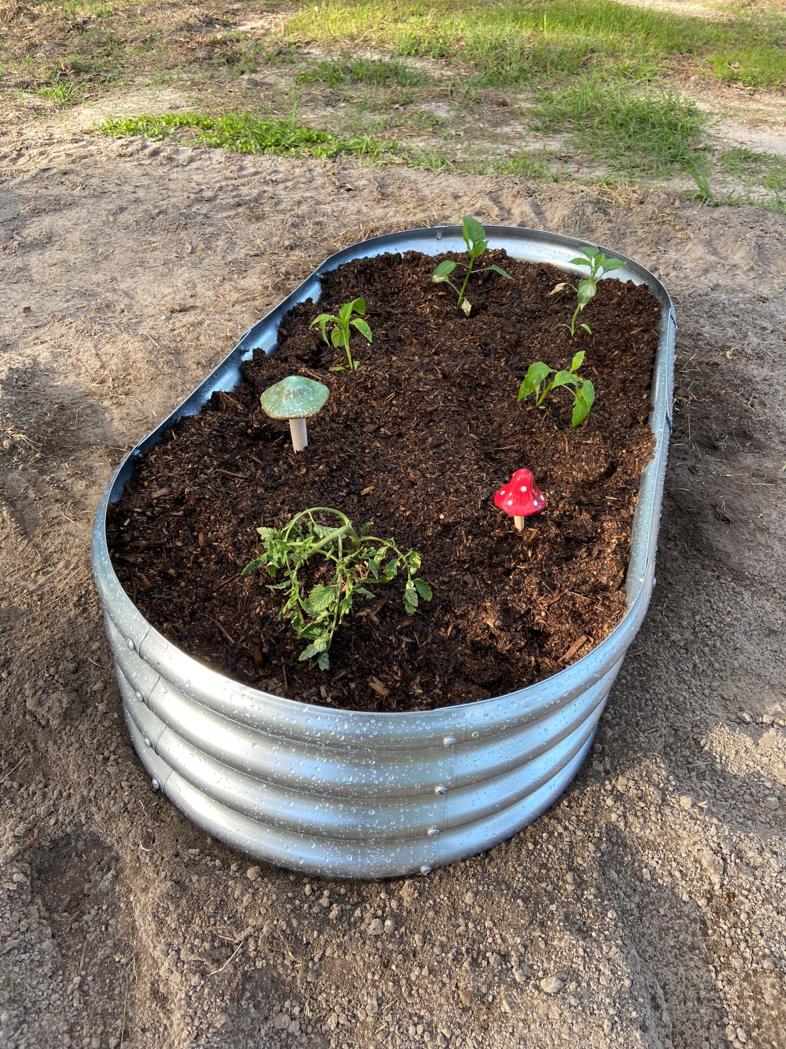 Gardening finds from Amazon 👩🏻‍🌾 

#LTKFindsUnder50 #LTKSeasonal #LTKHome