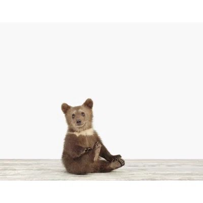 The Animal Print Shop by Sharon Montrose Baby Animals Bear Cub by Sharon Montrose Photographic Print | Wayfair North America