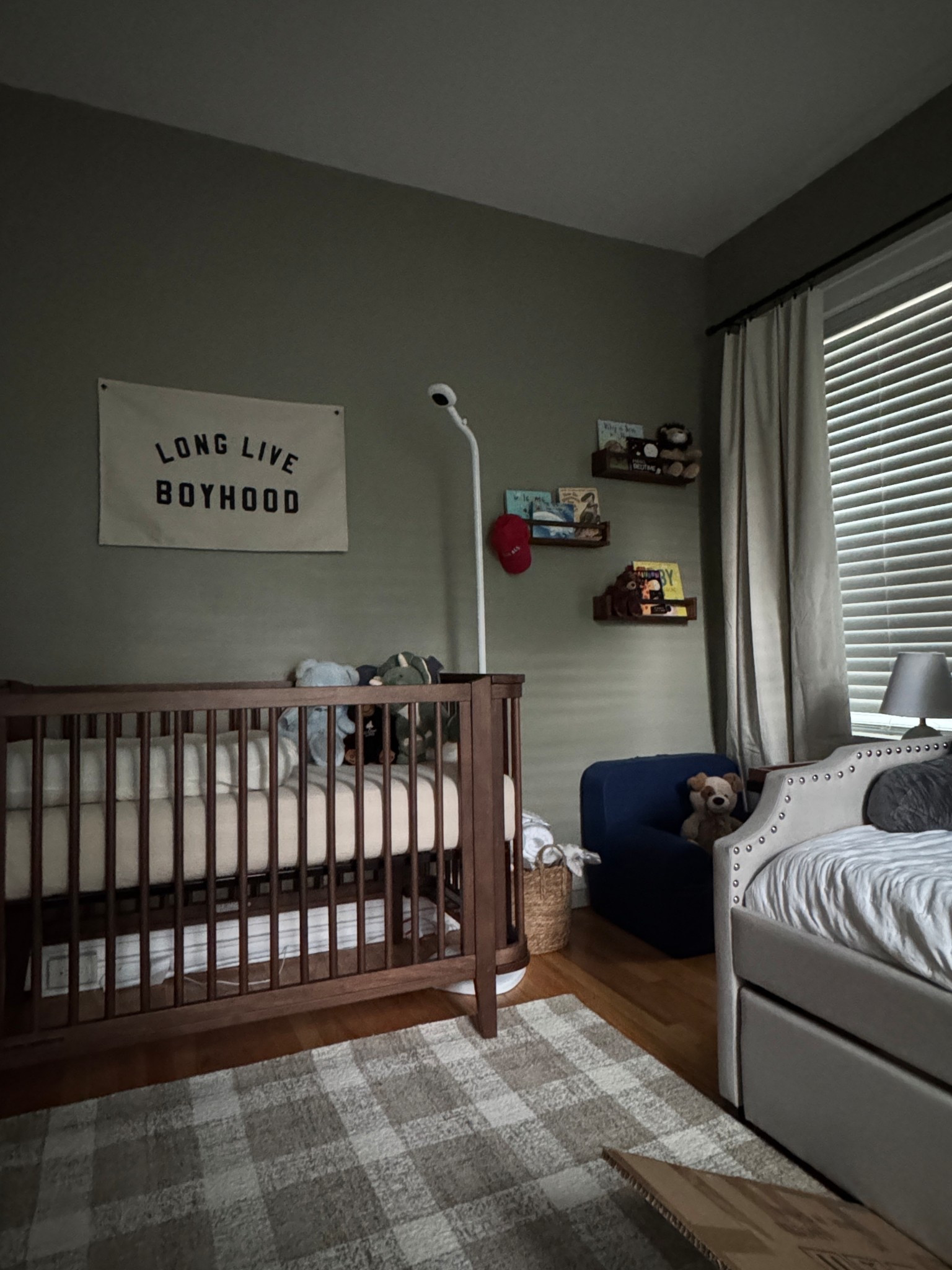 Tried to link some of baby boy’s nursery! 

#LTKHome #LTKBaby #LTKKids