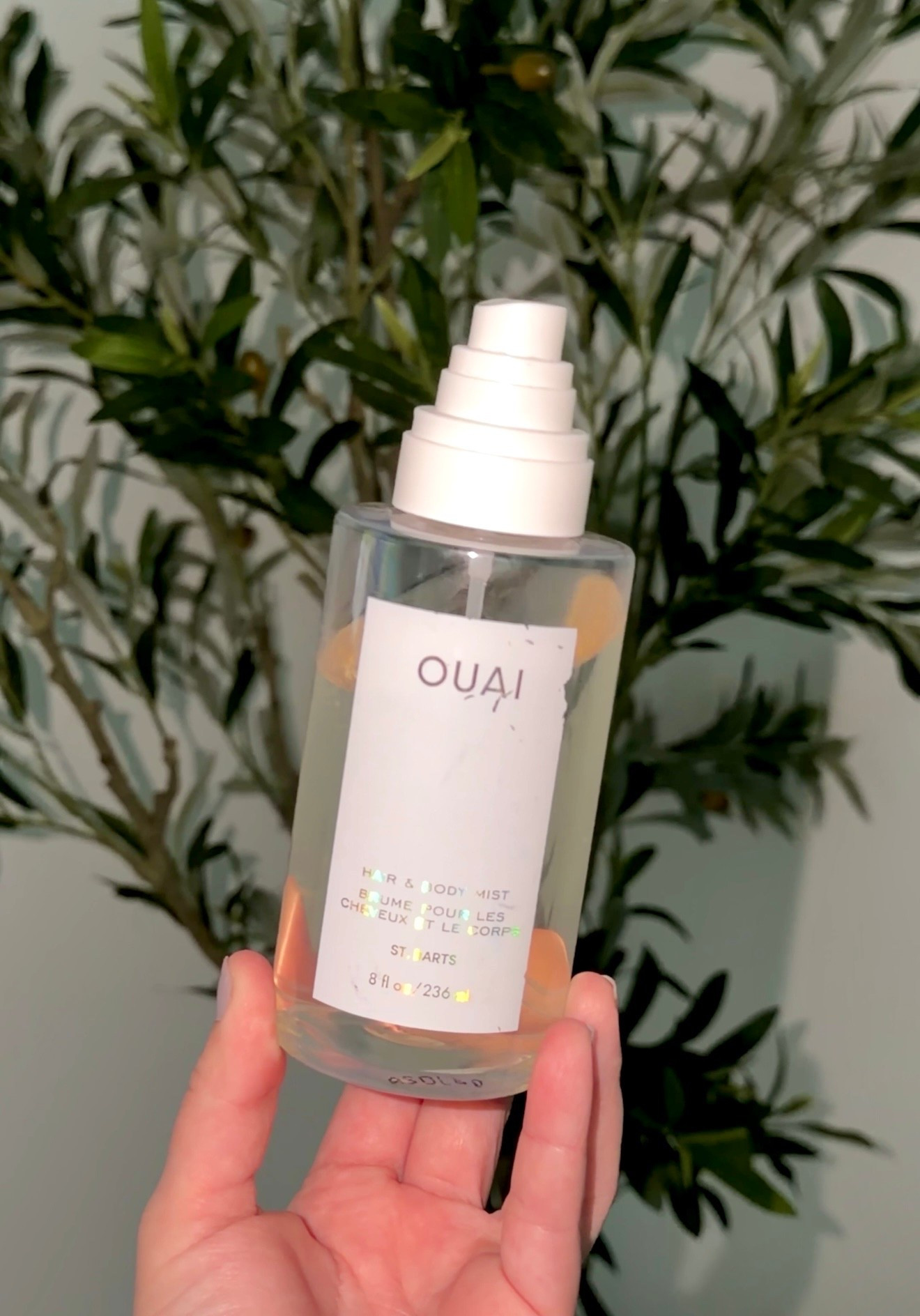 One OUAI to Smell Good
This is one of the mists I’m obsessed with the. It smells so good 🌊☀️🐚 

#LTKFindsUnder100 #LTKBeauty