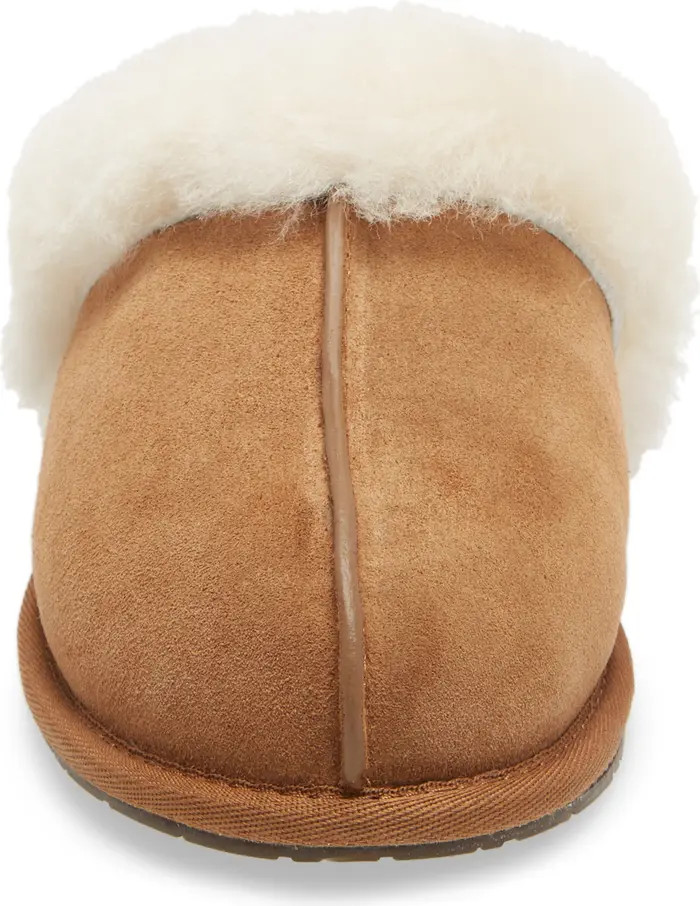 Scuffette II Slipper (Women) | Nordstrom