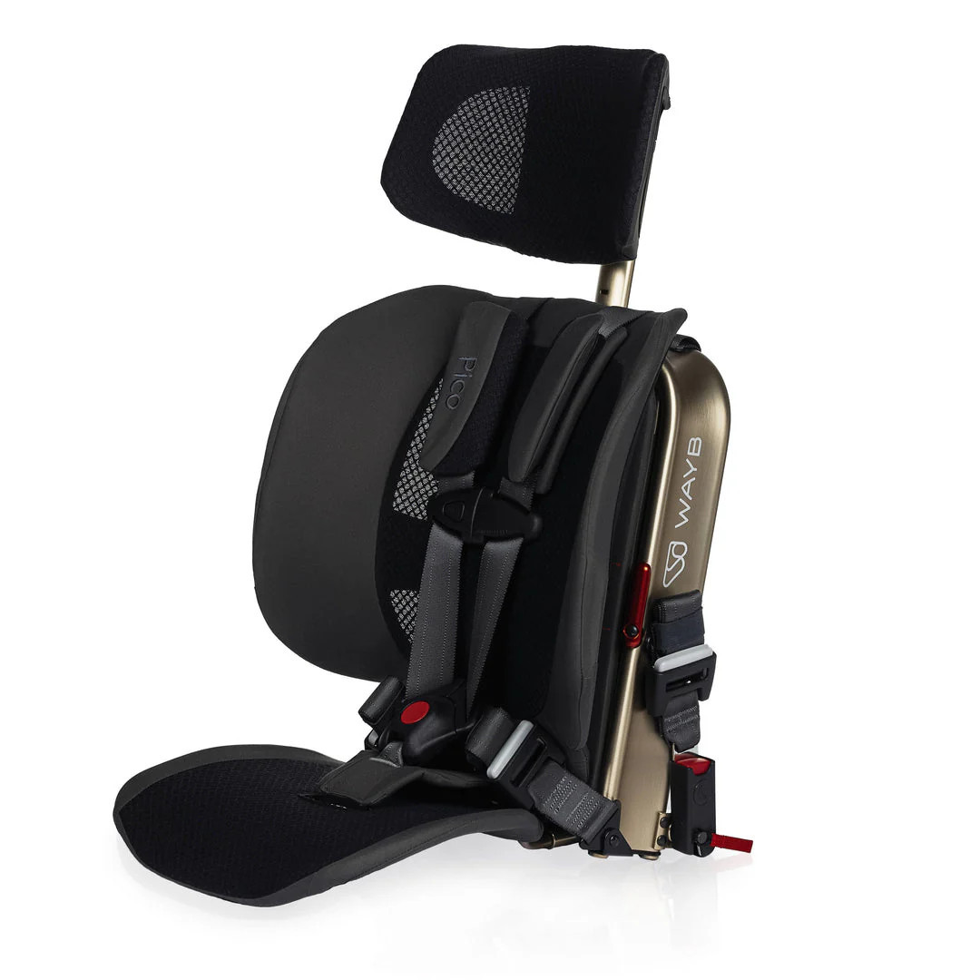 WAYB Pico Portable Car Seat, Earth, 2024 | GoodBuy Gear