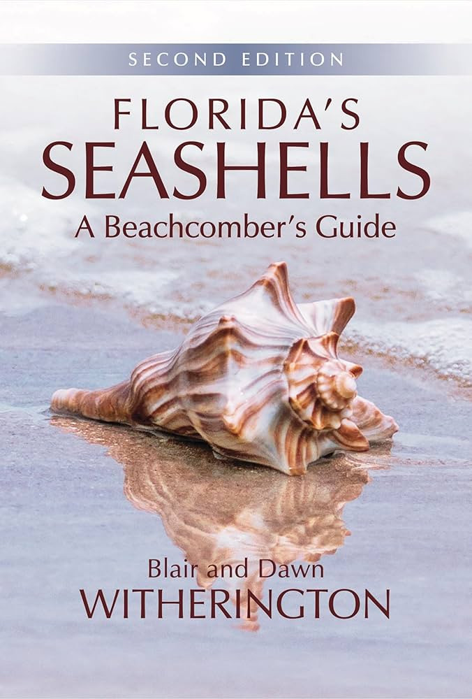 Florida's Seashells: A Beachcomber's Guide | Amazon (US)