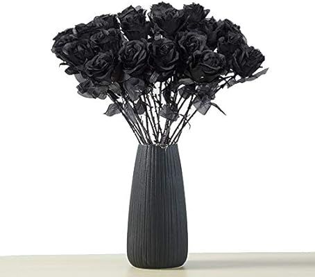 Musdoney 10pcs Black 16" Artificial Rose Flowers for Wedding Party Home Decoration(Vase not Inclu... | Amazon (US)