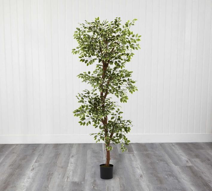 Faux Variegated Ficus Tree | Pottery Barn (US)