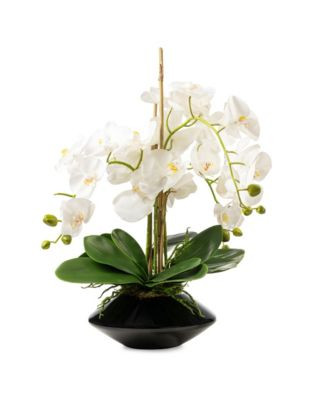 Orchid in Tapered Vase | Bloomingdale's (US)