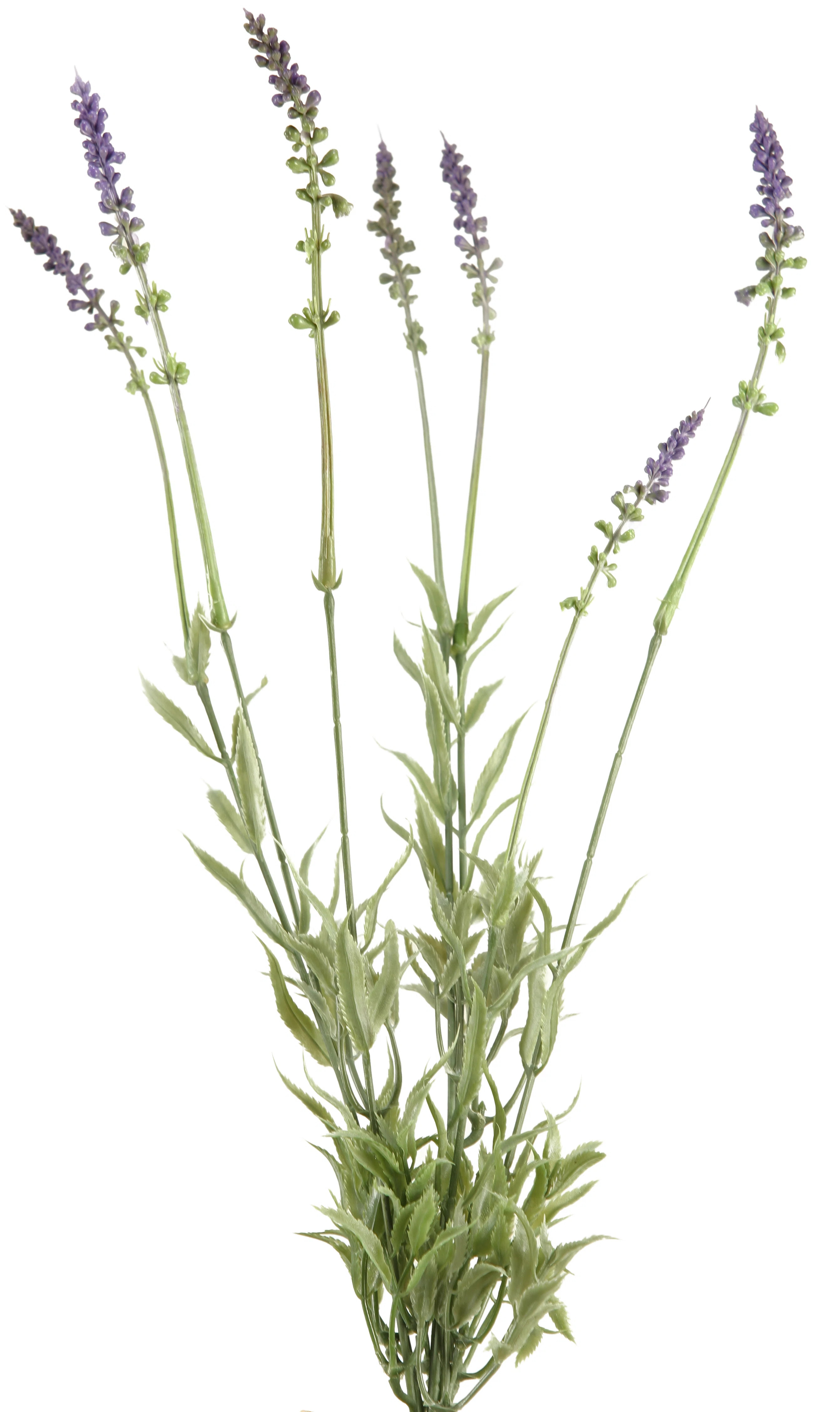Ophelia & Co. Bundle Lavender Floral Arrangement | Wayfair | Wayfair North America