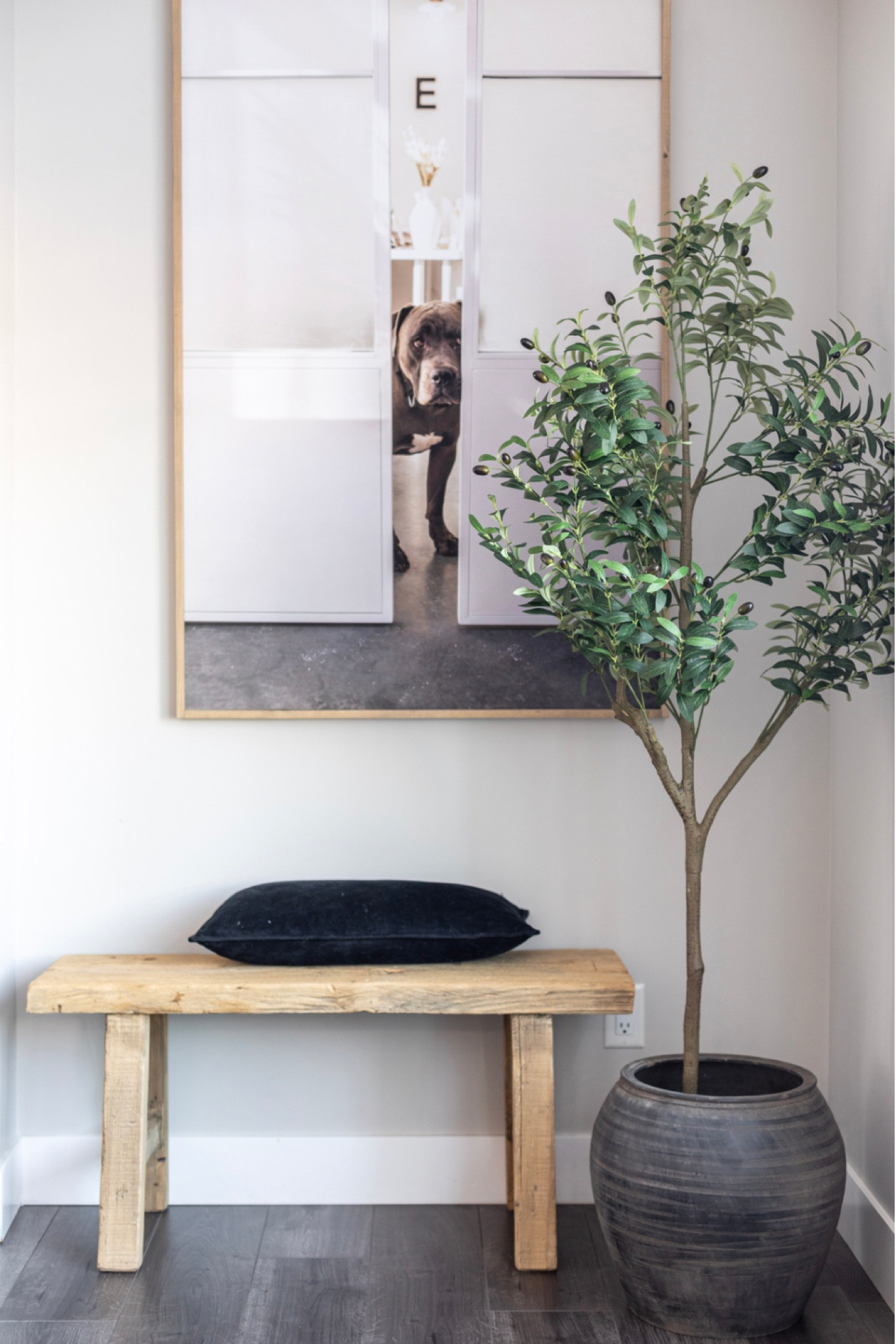 This olive tree and vintage pot is unreal 

#LTKhome