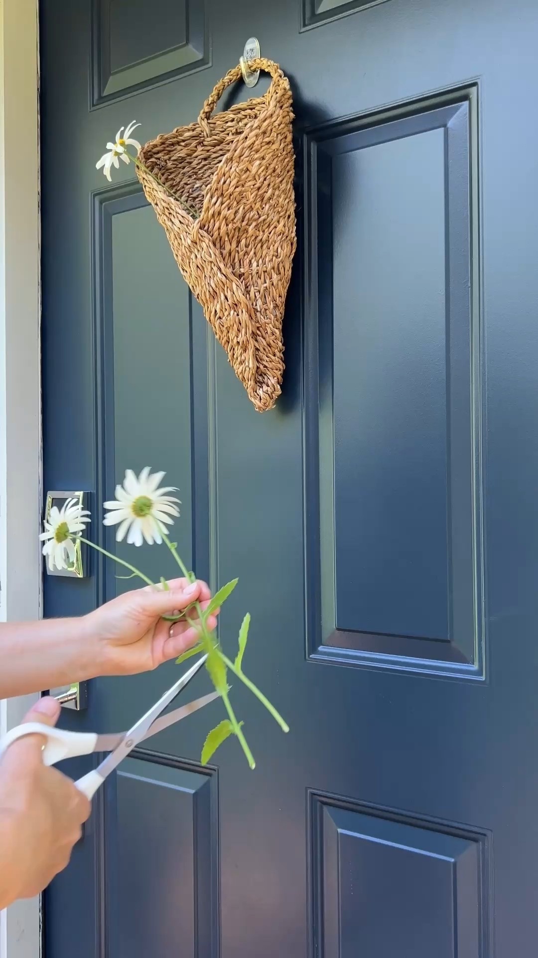 Wall hanging basket and outdoor sconce  

#LTKFindsUnder50 #LTKHome