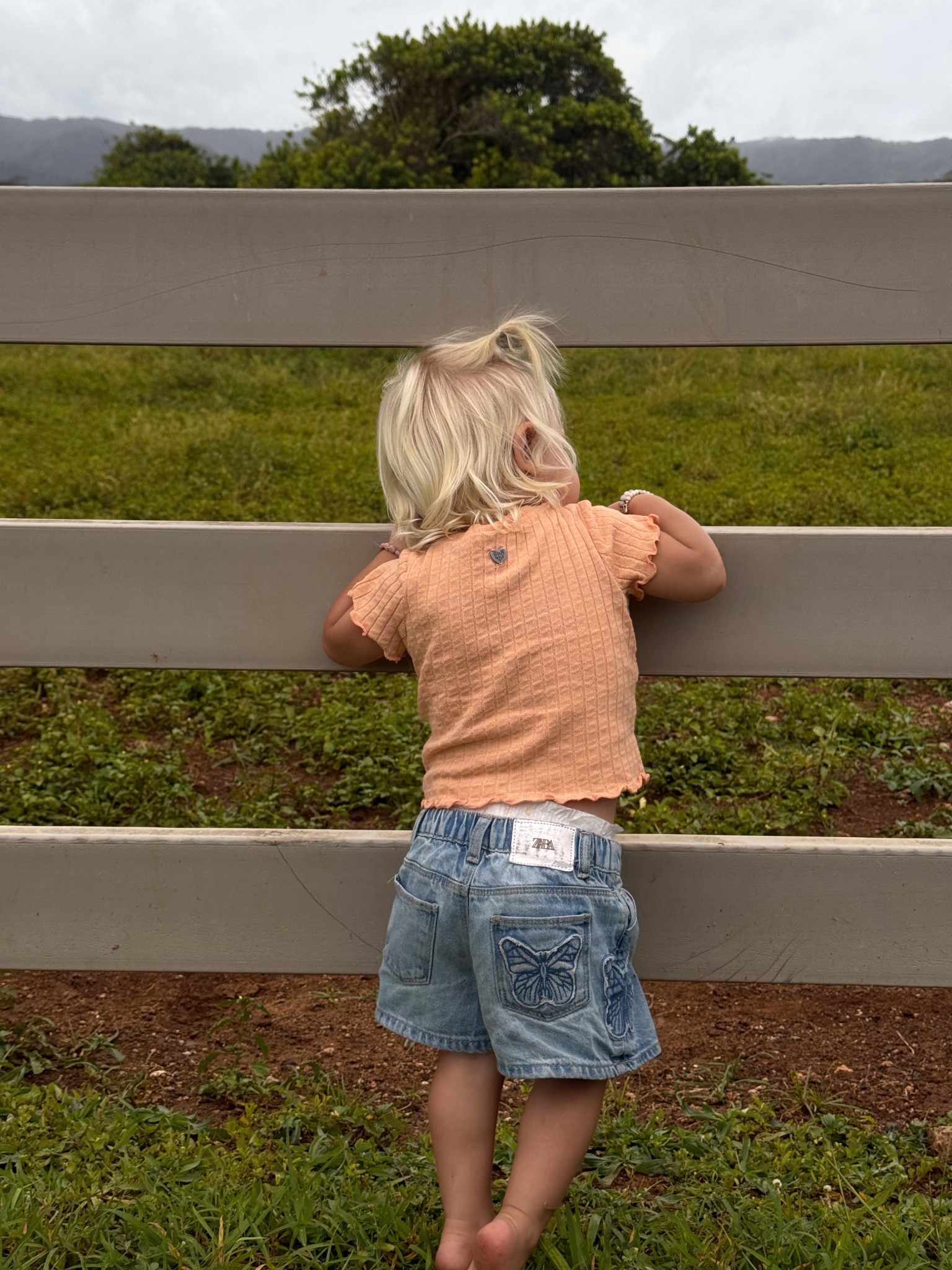 My Lany girl 💕

Children’s Apparel, Denim, Spring Outfits

#LTKmomlife #LTKKids #LTKBaby