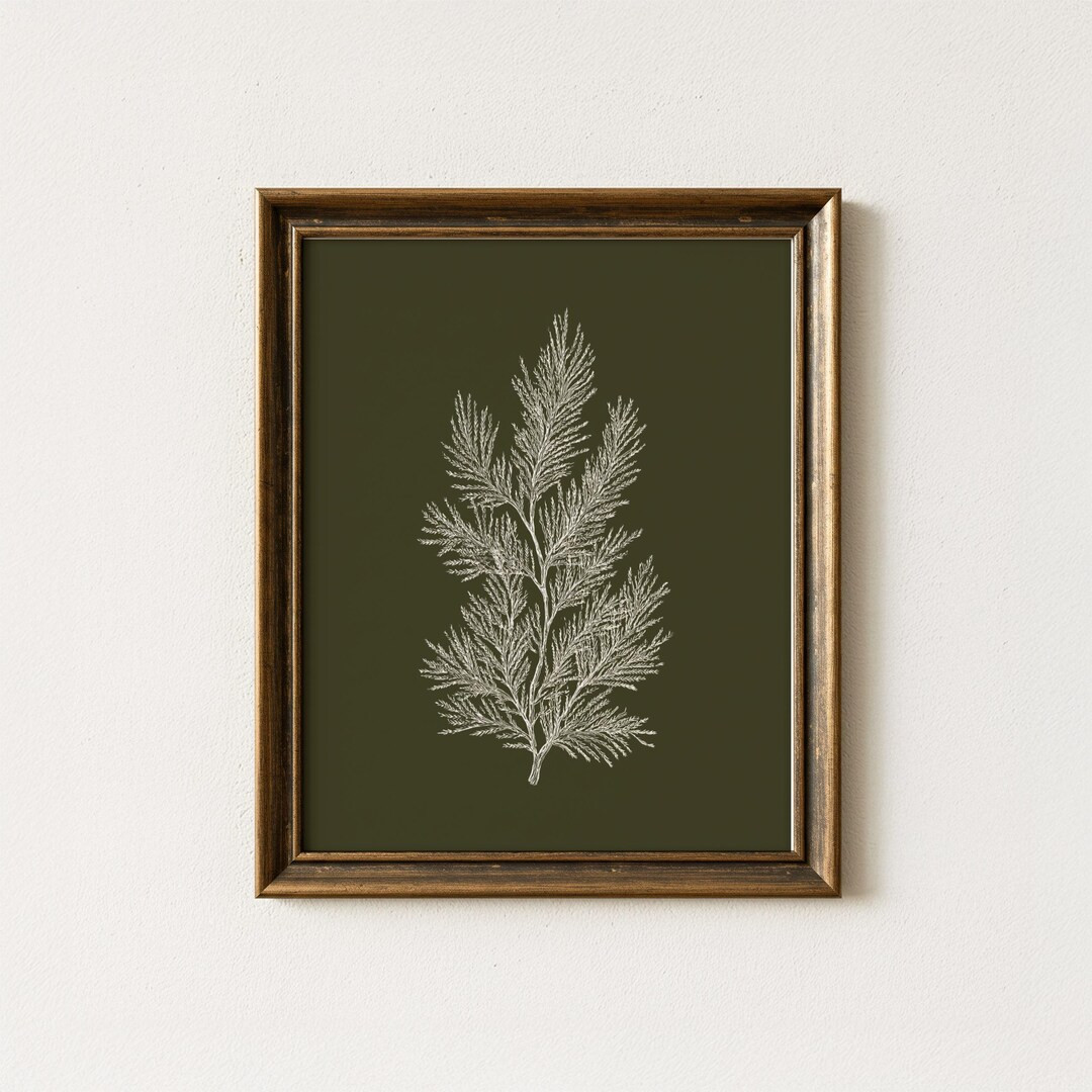 Rustic Pine Botanical Wall Art Olive Green Christmas Print Vintage Nature Illustration Evergreen ... | Etsy (US)