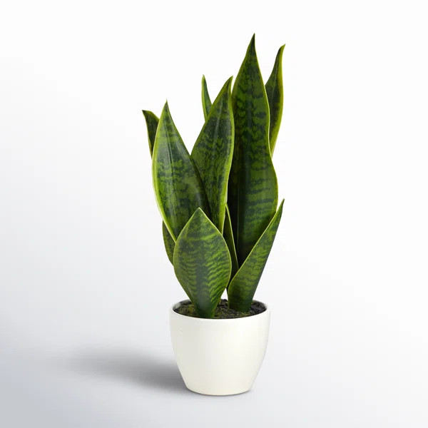 16'' Faux Snake Plant (Sansevieria) Plant in Planter | Joss & Main