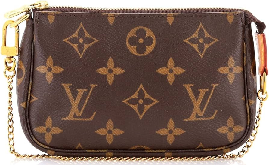 Amazon.com: Louis Vuitton, Pre-Loved Pochette Accessoires Monogram Canvas Mini, Brown : Amazon Lu... | Amazon (US)