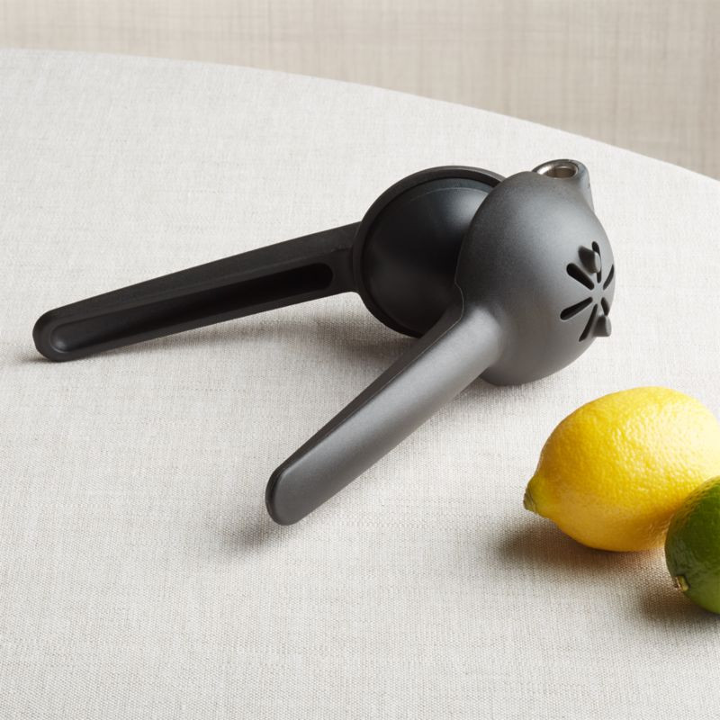 Rabbit Citrus Juicer + Reviews | Crate and Barrel | Crate & Barrel
