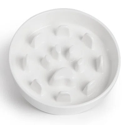 Slow Feeder Dog Bowls, Ceramic Fun Slow Eater Bowl For Small Medium Breed (White) | Wayfair North America