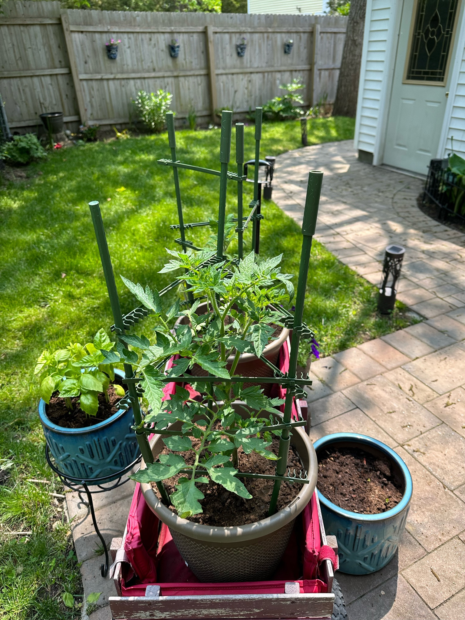 Garden tomato cages 

#LTKSeasonal #LTKFind